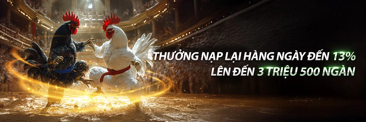 Sân chơi Đá Gà trực tuyến 789vnd hàng đầu